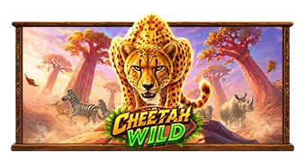 Cheetah Wild slot by Pragmatic Play - official game art