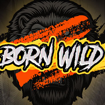 Born Wild - official slot artwork