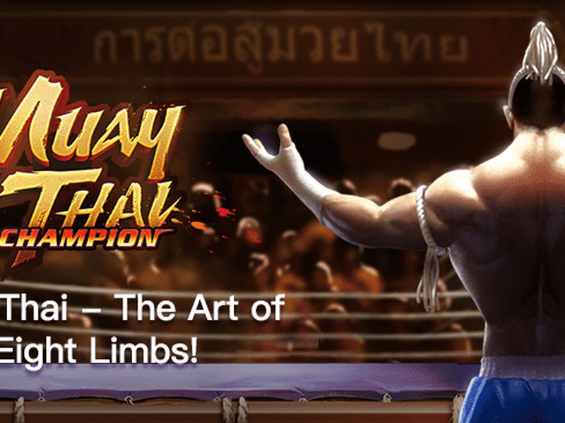 Muay Thai Champion - official slot artwork
