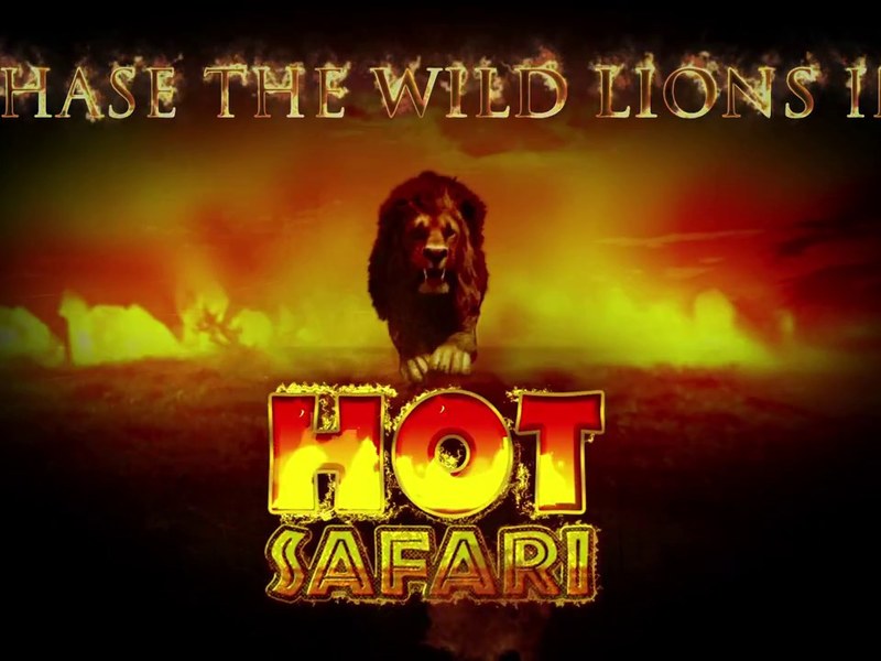 Hot Safari - official slot artwork