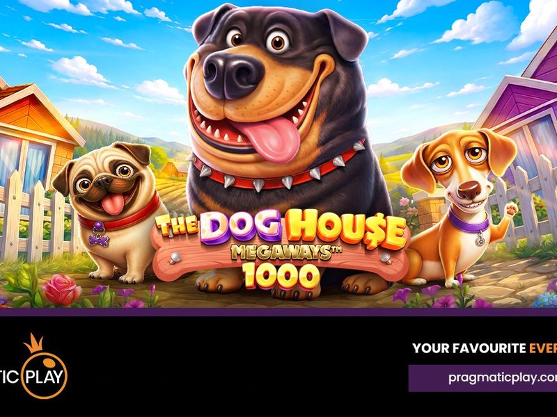 The Dog House Megaways 1000 - official slot artwork